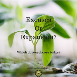 Excuses Or Expansion