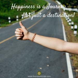 Happiness is a Journey, Not just a destination