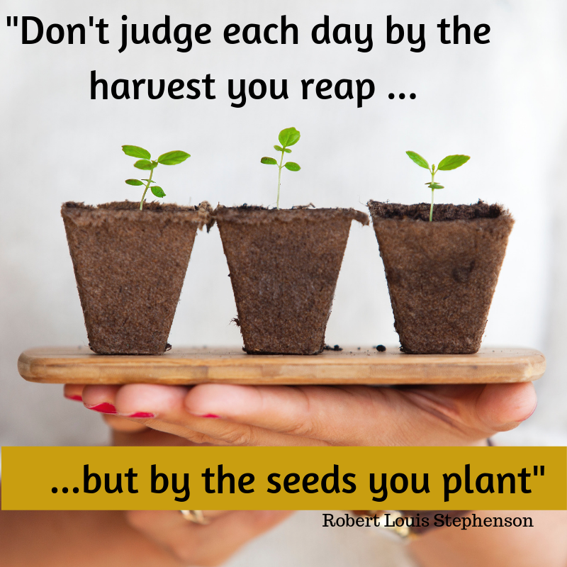 Don't judge each day by the harvest you reap, but by the seeds you plant